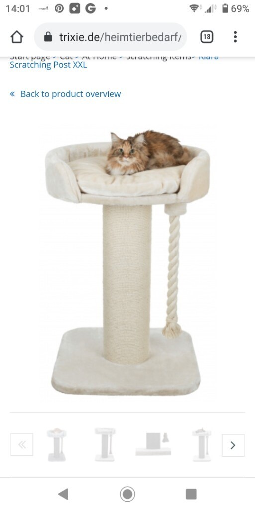 gumtree cat scratching post